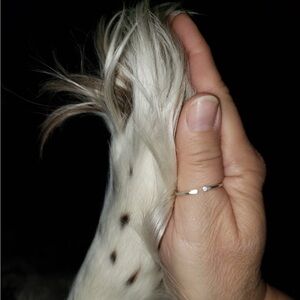 Meet your Posher, Dawn